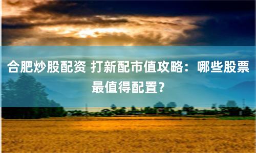 合肥炒股配资 打新配市值攻略：哪些股票最值得配置？