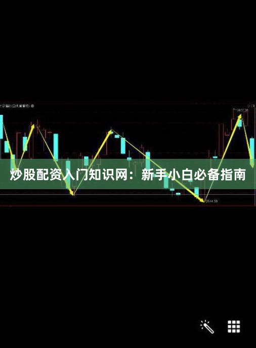 炒股配资入门知识网：新手小白必备指南