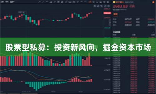 股票型私募：投资新风向，掘金资本市场