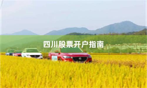 四川股票开户指南