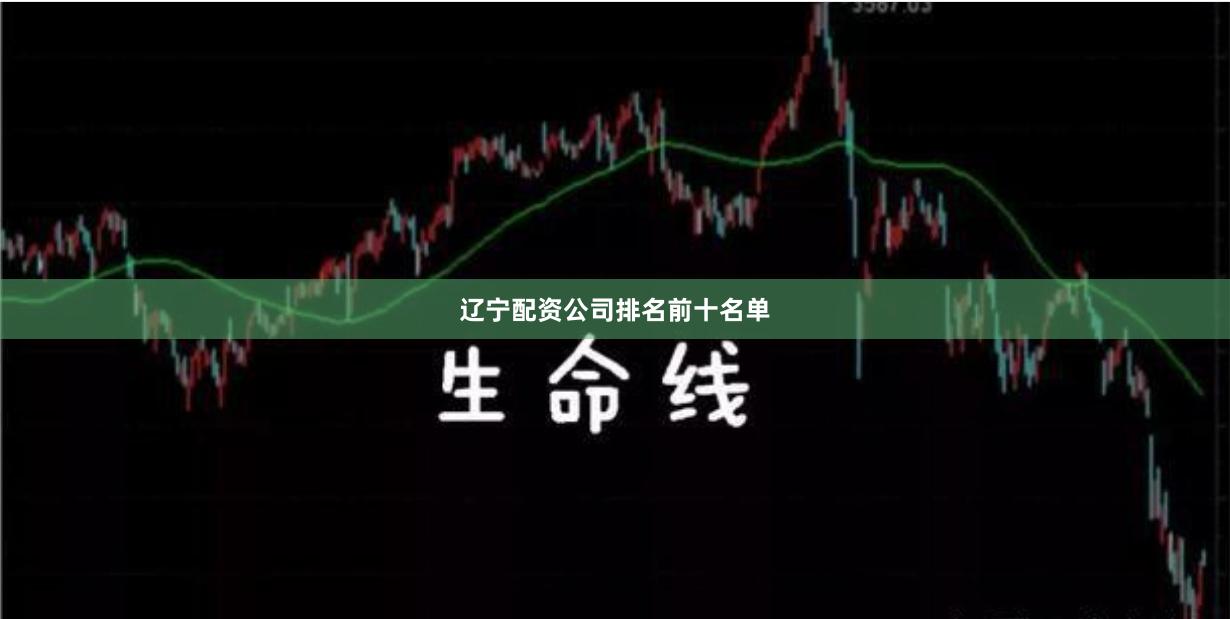 辽宁配资公司排名前十名单